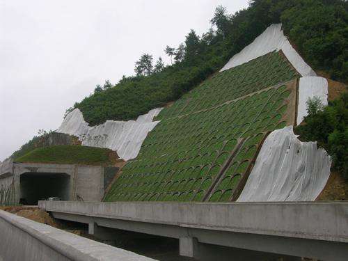 檢查井模具和護坡模具生產廠家